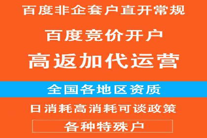 百度竞价排名案例解析：如何快速提升网站流量